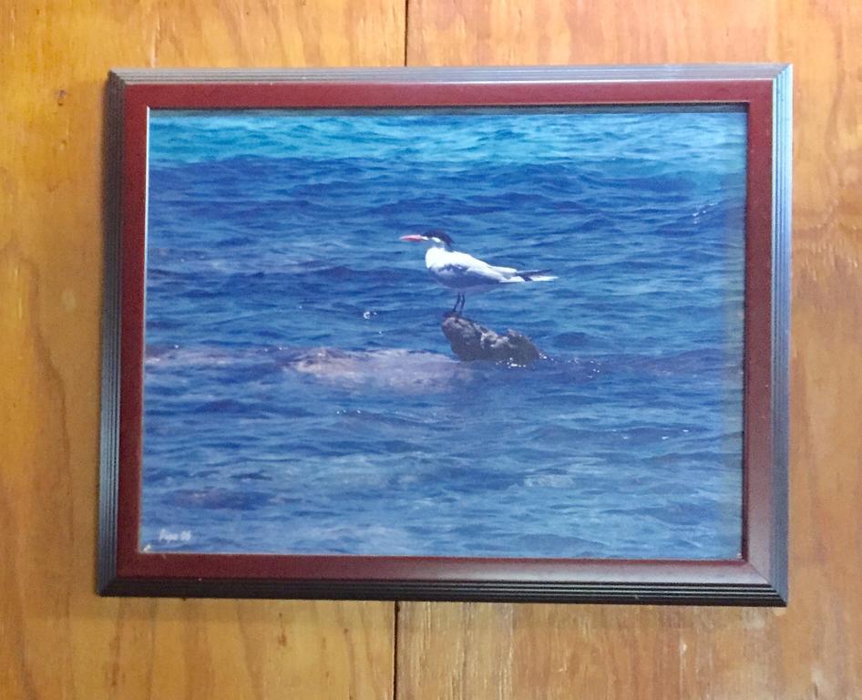 فندق أغواديلافي  Dancing Tortugas المظهر الخارجي الصورة